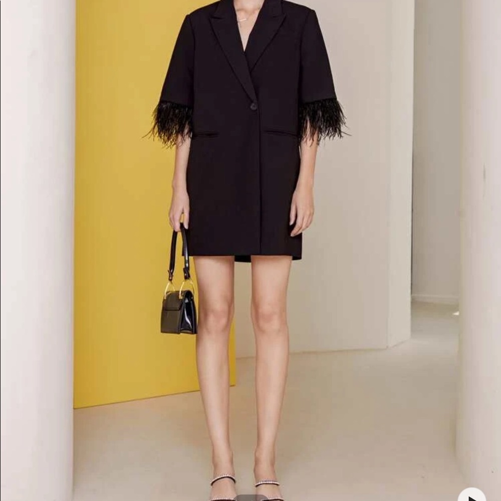 Black feather sleeve blazer dress